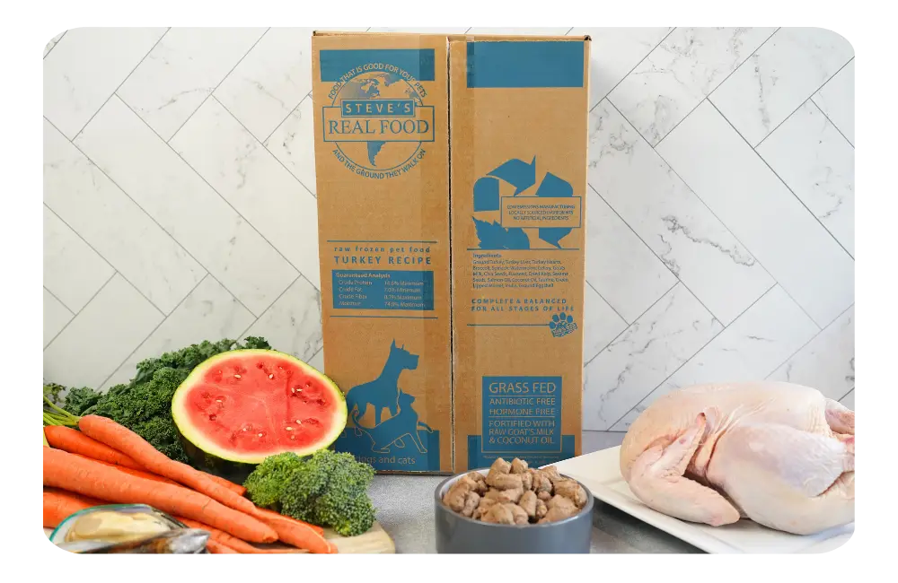 Video embed example – Steve’s Real Food training